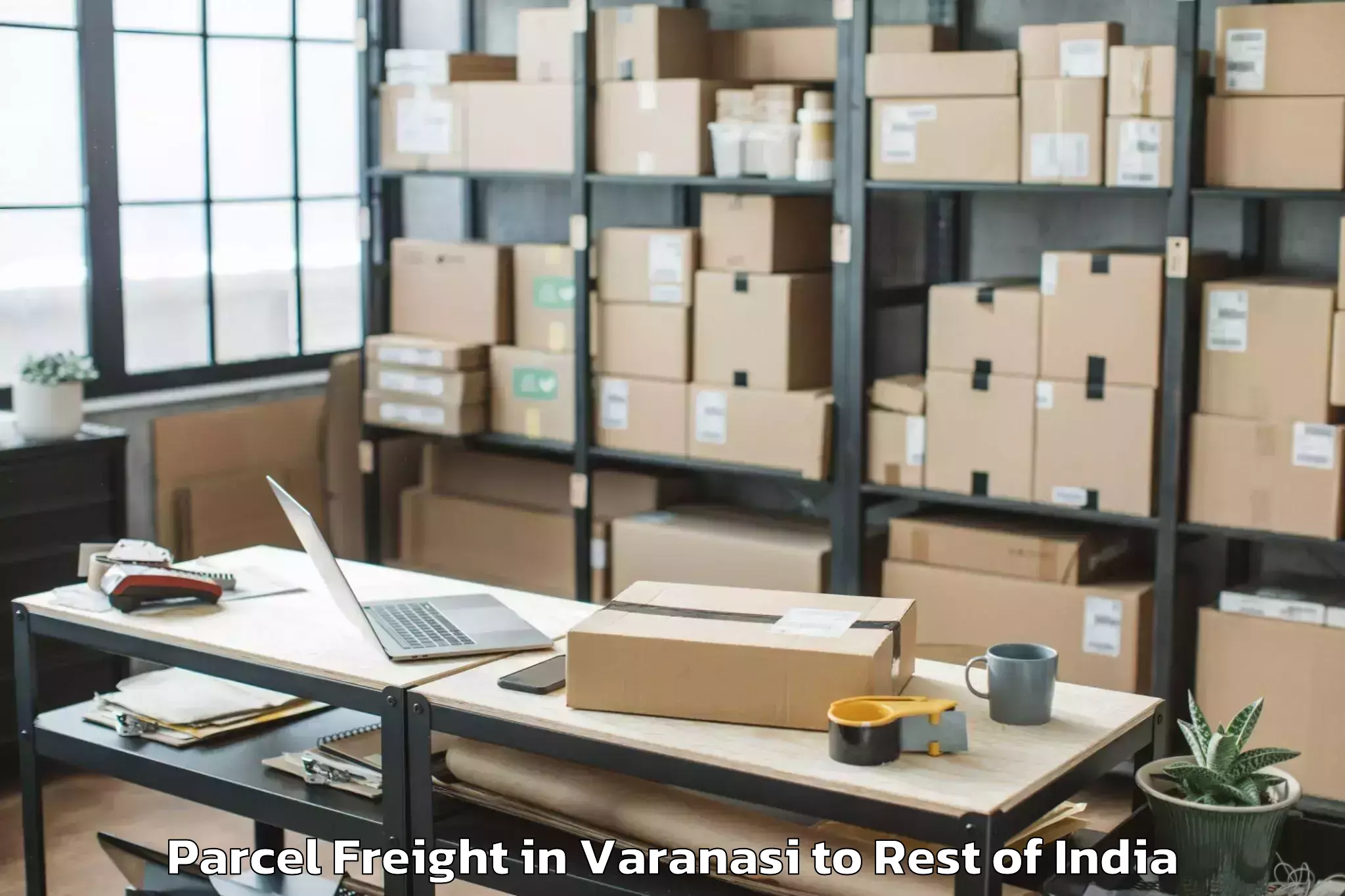 Easy Varanasi to Abhilashi University Rajouri Parcel Freight Booking